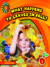 What Happens to Leaves in Fall?